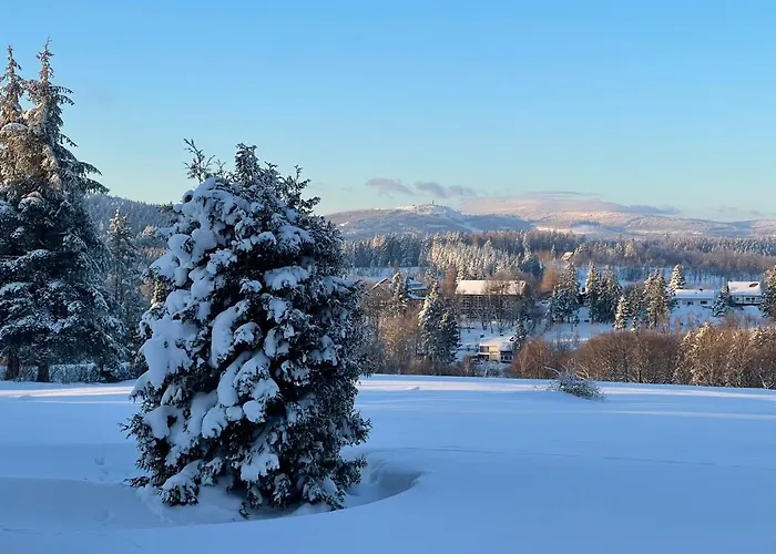 Sonneneck Adults Only 公寓 布劳恩拉格