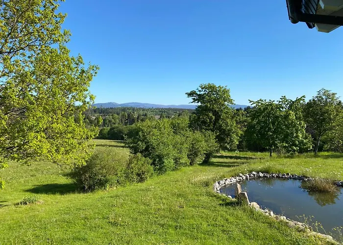 Sonneneck Adults Only